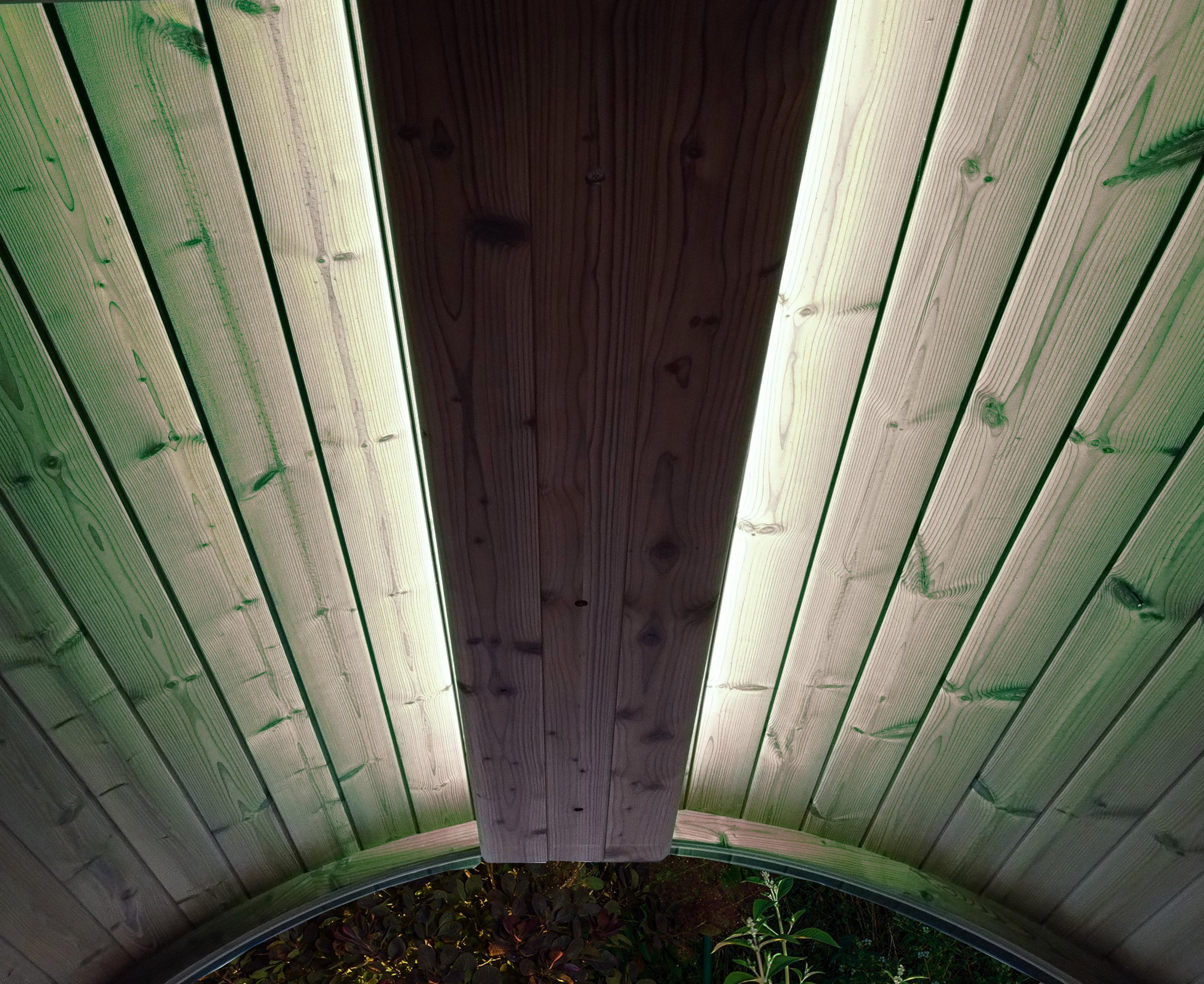 SaunaLife EMOOD Color LED Lighting for ERGO Sauna