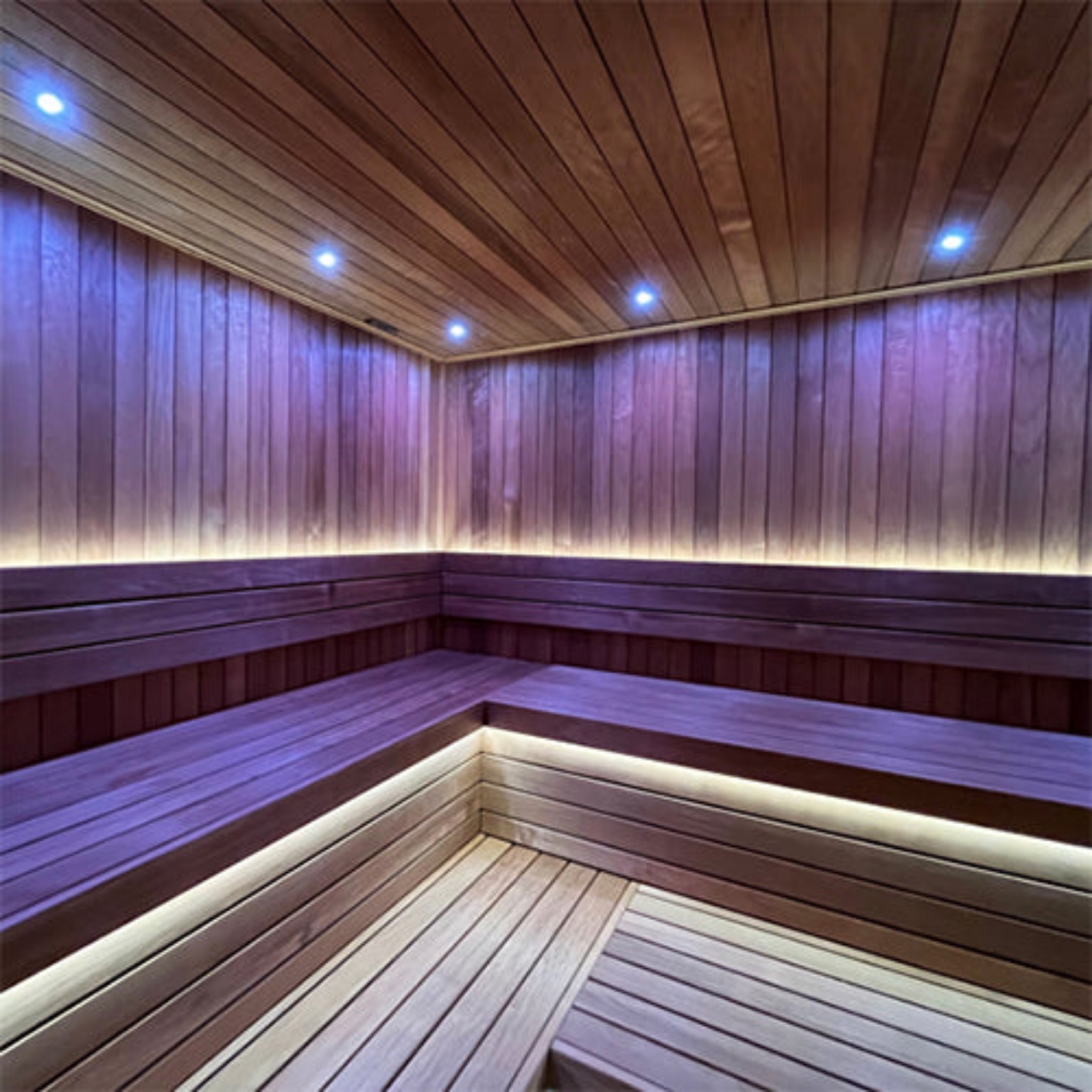 PROSAUNAS Universal Sauna Light Kit with Dual 10-Foot Flexible LED Strips