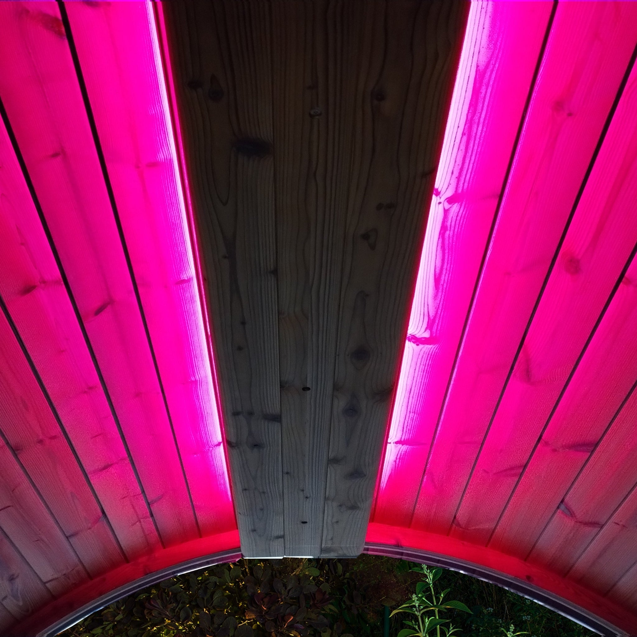 SaunaLife EMOOD Color LED Lighting for ERGO Sauna