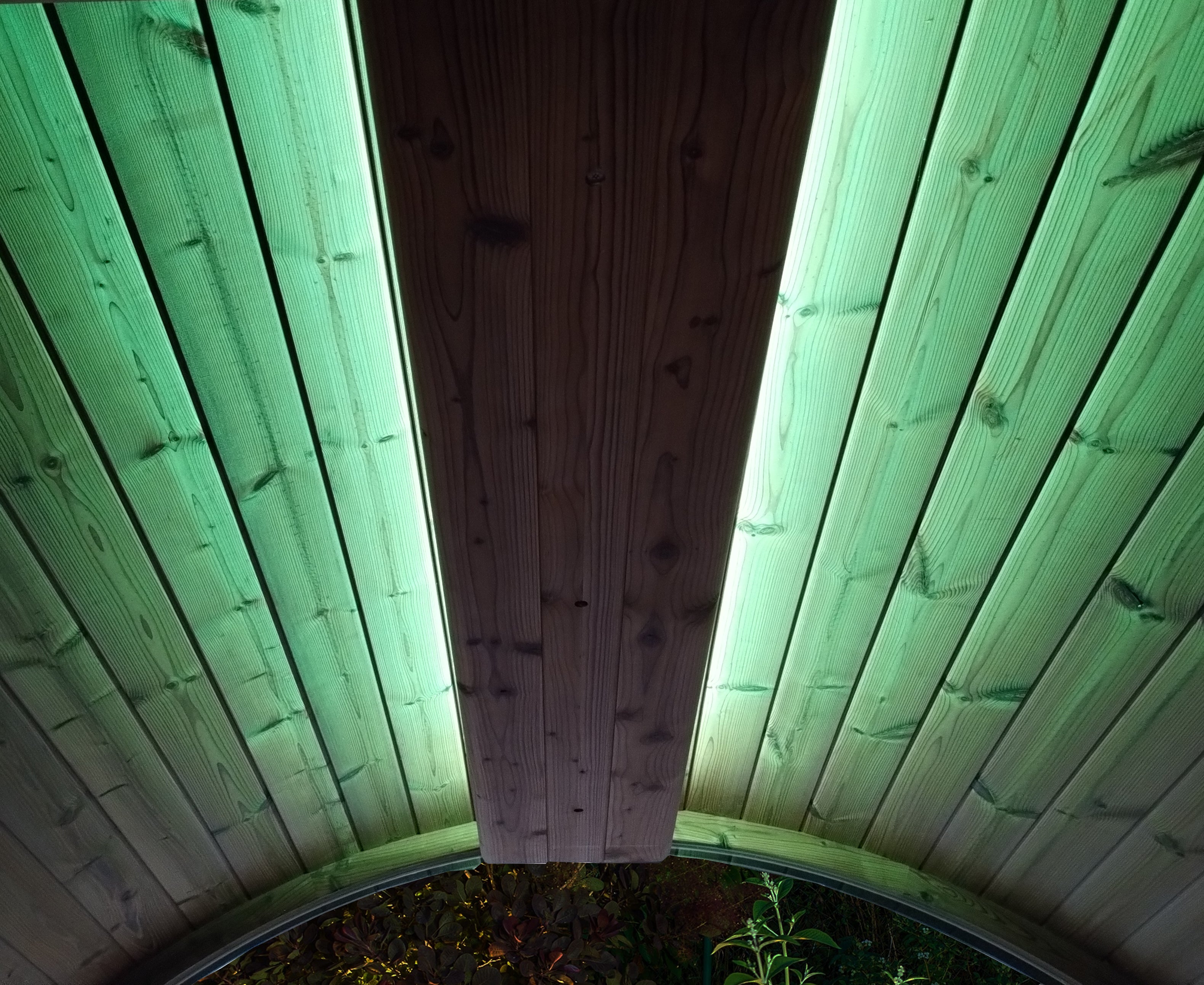SaunaLife EMOOD Color LED Lighting for ERGO Sauna