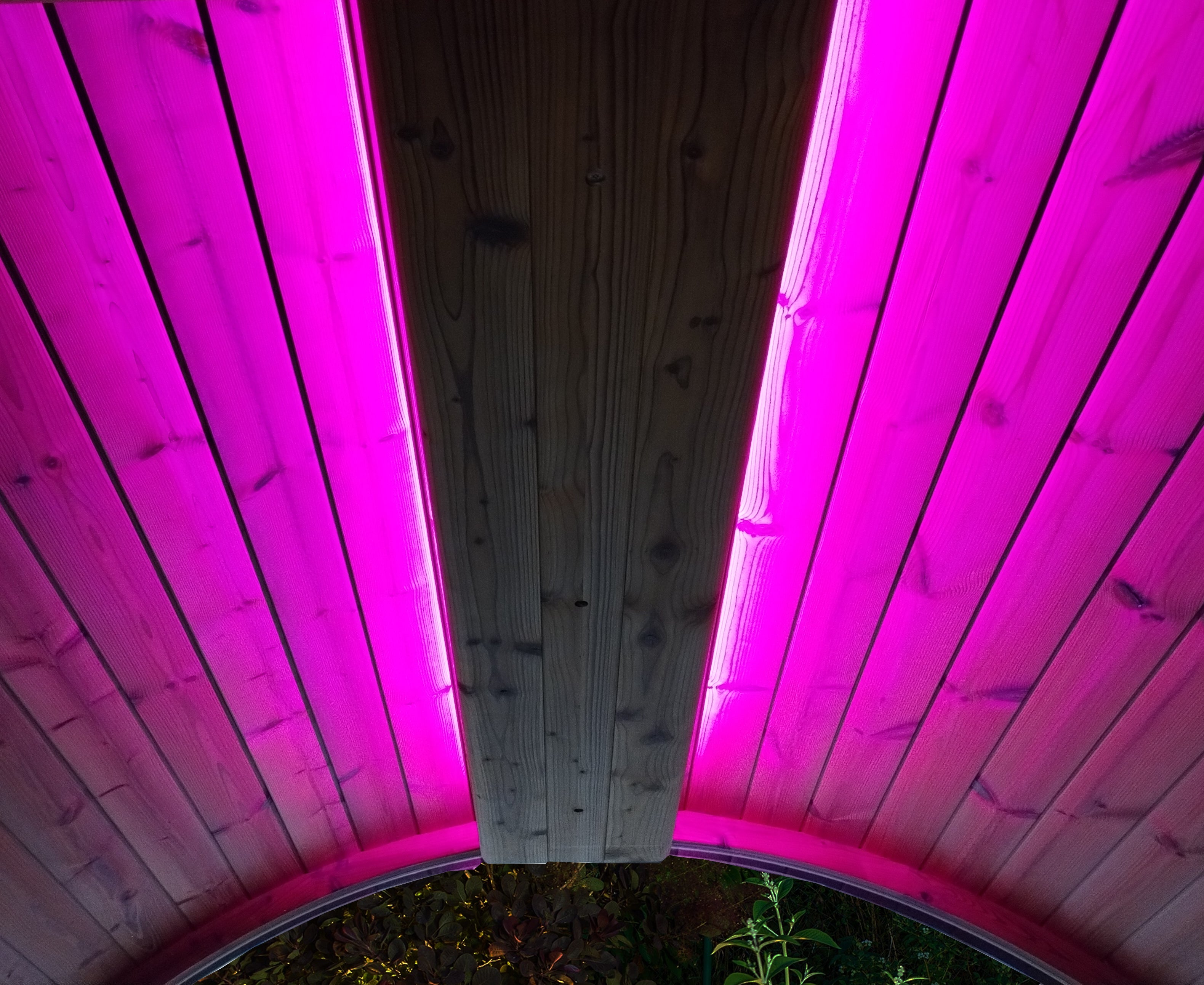 SaunaLife EMOOD Color LED Lighting for ERGO Sauna